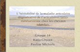 Lhéritabilité de la maladie articulaire dégénérative de larticulation tarso- mététarsienne chez les chevaux islandais. Groupe 14 Katia Ghyoot Pauline Michiels.
