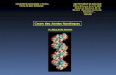 UNIVERSITE MOHAMMED V-AGDALDEPARTEMENT DE BIOLOGIE FACULTE DES SCIENCES Filière Sciences de la Vie (SVI) Module de Biochimie (M 11) Elément : Biochimie.