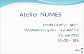 Atelier NUMES Maria Castillo - ABES Stéphane Pouyllau - TGE Adonis 26 mai 2010 16h30 – 18 h.