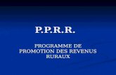P.P.R.R. PROGRAMME DE PROMOTION DES REVENUS RURAUX.