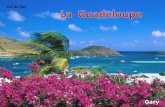 Cul de Sac Gary Port en Guadeloupe Guadeloupe La Désirade.
