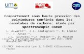 Comportement sous haute pression des polyiodures confinés dans les nanotubes de carbone: étude par spectroscopie Raman L. Alvarez (1), J-L. Bantignies.