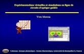Y.Moreau -Groupe photonique - Centre Electronique, Université de Montpellier II, France Expérimentations virtuelles et simulations en ligne de circuits.