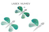 LABEX NUMEV. Initiative dexcellence de Montpellier - 22.10.2010 Labex NUMEV LABEX Porteur : Michel ROBERT Un potentiel MIPS reconnu (Math., Informatique,