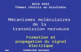 2008 Conduction nerveuse BICH 4943 Thèmes choisis en biochimie Formation et propagation du signal électrique Mécanismes moléculaires de la transmission.