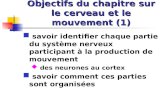 Objectifs du chapitre sur le cerveau et le mouvement (1) savoir identifier chaque partie du système nerveux participant à la production de mouvement des.