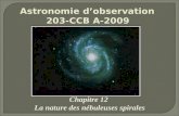 Astronomie dobservation 203-CCB A-2009 Chapitre 12 La nature des nébuleuses spirales.