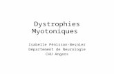 Dystrophies Myotoniques Isabelle Pénisson-Besnier Département de Neurologie CHU Angers.