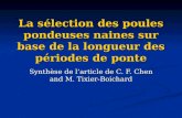 La sélection des poules pondeuses naines sur base de la longueur des périodes de ponte Synthèse de larticle de C. F. Chen and M. Tixier-Boichard.