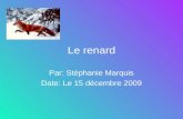 Le renard Par: Stéphanie Marquis Date: Le 15 décembre 2009.