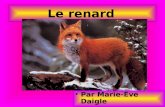 Le renard Par Marie-Ève Daigle. Introduction Dans mon projet, je vais vous parlez du renard (un animal du Nouveau-Brunswick).