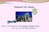 Marion Valette 3°5 Rapport de stage, Dans lentreprise Dillinger Hütte GTS, du 12 au 16 décembre.