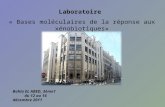 Laboratoire « Bases moléculaires de la réponse aux xénobiotiques» Bahïa EL ABED, 3ème1 du 12 au 16 décembre 2011.