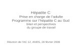 Hépatite C Prise en charge de ladulte Programme sur lhépatite C au Sud bilan et perspectives du groupe de travail Réunion de lAC 12, ANRS, 28 février 2008.