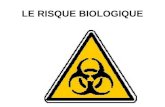 LE RISQUE BIOLOGIQUE. SOMMAIRE 1 - L'ANALYSE DU RISQUE BIOLOGIQUE 1.1 Les agents biologiques de la contamination 1.2 Les dangers : les effets de la contamination.