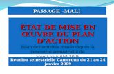 ÉTAT DE MISE EN ŒUVRE DU PLAN DACTION Bilan des activités menés depuis la rencontre semestrielle de Mopti en juillet 2008 Réunion semestrielle Cameroun.