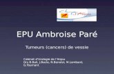 EPU Ambroise Paré Tumeurs (cancers) de vessie Cabinet dUrologie de lAnjou Drs B.Bali, J.Bacle, N.Benoist, M.Lombard, G.Tournant.