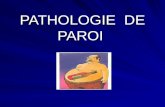 PATHOLOGIE DE PAROI PATHOLOGIE DE PAROI. Hernies ombilicales DiastasisEventrationsEviscérations.