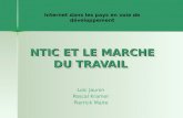 NTIC ET LE MARCHE DU TRAVAIL Loïc Jaunin Pascal Kramer Pierrick Maire Internet dans les pays en voie de développement.