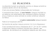 LE PLACENTA Le placenta humain se présente comme un disque arrondi ou ovalaire de18 à 20 cm de diamètre.. Cest une annexe fœtale indissociable de lembryon.