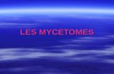 LES MYCETOMES. Définition Les mycétomes sont des pseudotumeurs inflammatoires chroniques, polyfistulisées, contenant des grains jaunes, blancs, rouges.