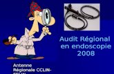 Audit Régional en endoscopie 2008 Antenne Régionale CCLIN-FELIN.