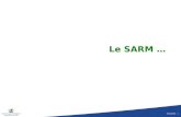 04/2008 - 1 Le SARM …. 04/2008 - 2 Nombre de souches de S. aureus et de SARM isolées en 2007 : CHRU de Lille Nb isolements S. aureus SARM % SARM Court.