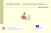 SEMINAIRE « MAINSTREAMING ». Initiative de « mainstreaming » prise par le Ministère du Travail et de lEmploi pour les projets: APEMH (Parc Merveilleux.