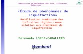 «Étude de phénomènes de liquéfaction» Fernando LOPEZ-CABALLERO Modélisation numérique des inclusions rigides comme solution aux problèmes de liquéfaction.