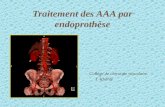 Traitement des AAA par endoprothèse Collège de chirurgie vasculaire T. Khalifé.