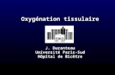 Oxygénation tissulaire J. Duranteau Université Paris-Sud Hôpital de Bicêtre.