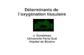 Déterminants de loxygénation tissulaire J. Duranteau Université Paris-Sud Hôpital de Bicêtre.