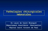Pathologies chirurgicales néonatales Dr Laure de Saint Blanquat Département Anesthésie -Réanimation Hôpital Saint Vincent de Paul.