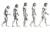 Les Hommes préhistoriques Les Australopithèques De 4.1 à 2.9 millions d'années Taille : 1.05 à 1.35m Poids : 30 à 45 kg Localisation : Afrique Orientale.
