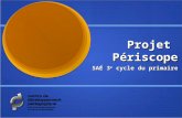Projet Périscope SAÉ 3 e cycle du primaire. Objectifs de la tâche… Sapproprier le concept de réflexion de la lumière; Sapproprier le concept de réflexion.