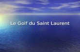 Le Golf du Saint Laurent. Où est le courant du Golfe du Saint-Laurent? Le Golfe du Saint Laurent est situé à lest du Canada, au nord de lIle du Prince.