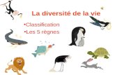 La diversité de la vie Classification Les 5 règnes.