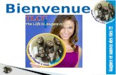TLCG : The Life Changers Group  (VOUS GAGNEZ……ILS VIVENT.) +228 91 94 35 19 / 92 05 10 04 / 90 14 51 45 / 22 31 01 22 Lomé-Togo(Nukafou)