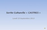 Sortie Culturelle « CASTRES » Lundi 23 Septembre 2013.