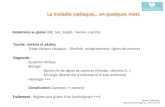 Sylvain Dubucquoi Institut dImmunologie du CHRU de Lille Intolérance au gluten Intolérance au gluten (Blé, Son, Seigle) / Avoine ± permis Touche : Enfants.