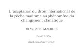 Ladaptation du droit international de la pêche maritime au phénomène du changement climatique 10 Mai 2011, MACROES David ROCA david.roca@univ-perp.fr.