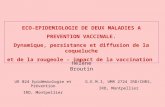 ECO-EPIDEMIOLOGIE DE DEUX MALADIES A PREVENTION VACCINALE. Dynamique, persistance et diffusion de la coqueluche et de la rougeole - impact de la vaccination.