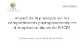 Impact de la physique sur les compartiments phytoplanctoniques et zooplanctoniques de PISCES Thomas Arsouze, Laurent Bopp, Marion Gehlen MACROES.