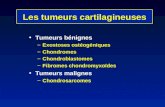 Les tumeurs cartilagineuses Tumeurs bénignes –Exostoses ostéogéniques –Chondromes –Chondroblastomes –Fibromes chondromyxoïdes Tumeurs malignes –Chondrosarcomes.
