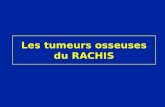 Les tumeurs osseuses du RACHIS. Tumeurs osseuses Tumeurs productrices de tissu osseux Tumeurs productrices de tissu cartilagineux Tumeurs à cellules géantes.