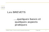 1 Clotilde Turleque - Service accords et propriété intellectuelle17 Mars 2011 Les BREVETS ….quelques bases et quelques aspects pratiques.