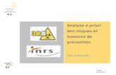 Analyse a priori des risques et mesures de prévention Aide à domicile Année 2012/2013.