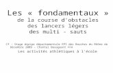 Les « fondamentaux » de la course dobstacles des lancers légers des multi - sauts Cf : Stage équipe départementale EPS des Bouches du Rhône de Décembre.