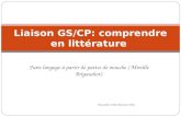 Faire langage à partir de pattes de mouche ( Mireille Brigaudiot). Décembre 2010, Patricia Viles Liaison GS/CP: comprendre en littérature.