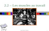 Sport Books Publisher1 2.2 – Les muscles au travail Chapitre 4 p. 77 - 93.